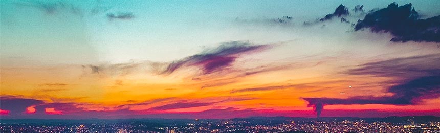 乳山茶虫网_乳山品茶